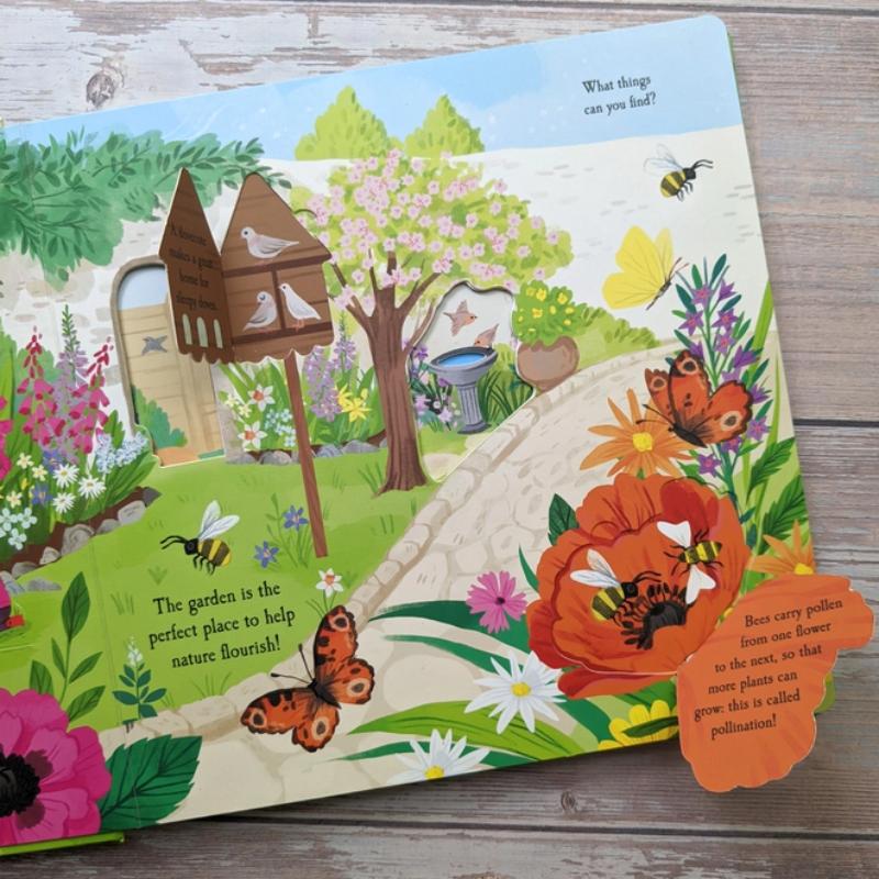 Let's Explore the Garden Boardbook