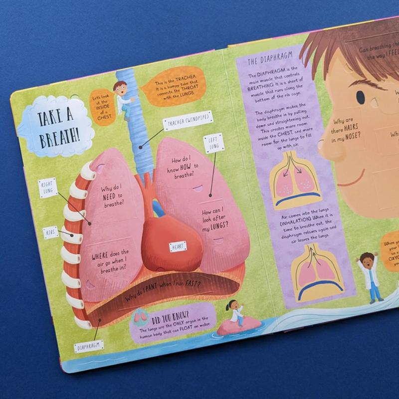 Human Body Question and Answer Flap Book
