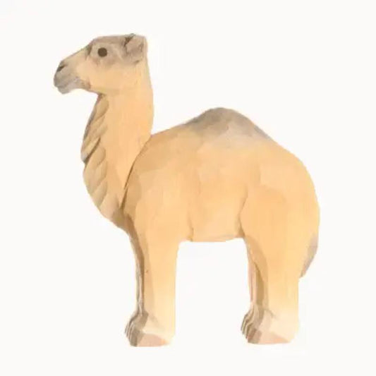 Wudimals Dromedary Camel