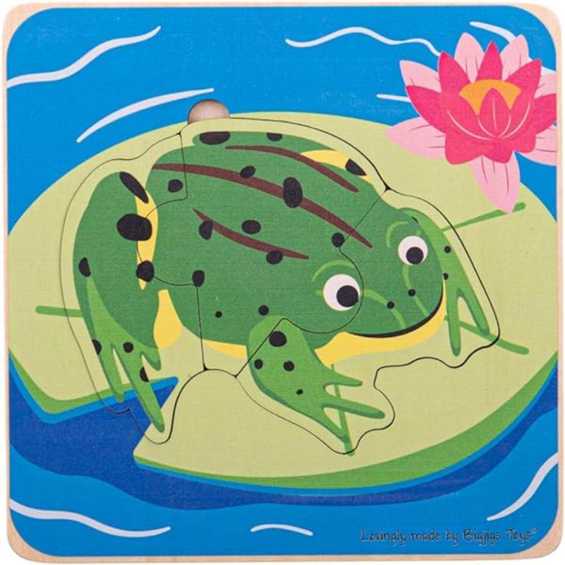 Frog Lifecycle Puzzle