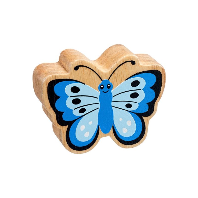 Lanka Kade Blue Butterfly