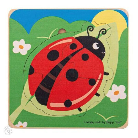 Ladybird Lifecycle Puzzle