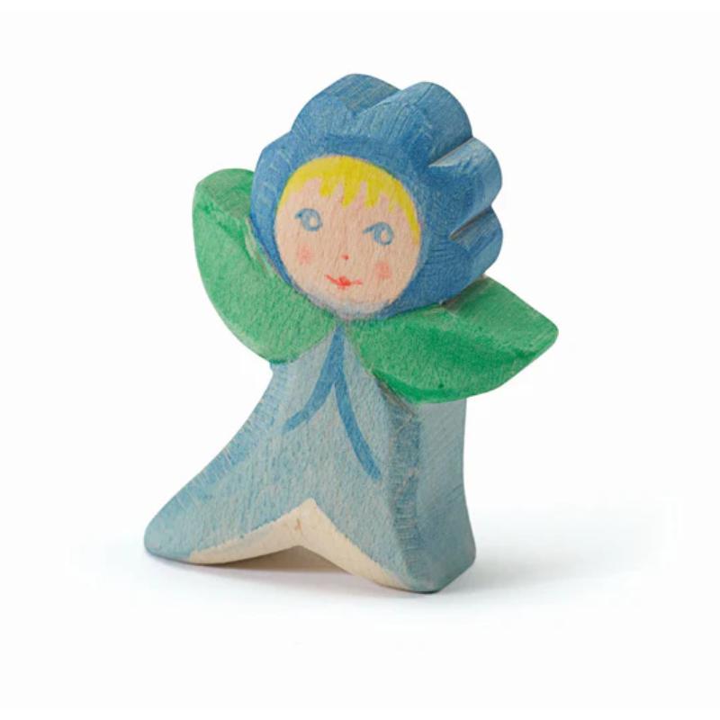 Ostheimer Flower Child Forget Me Not