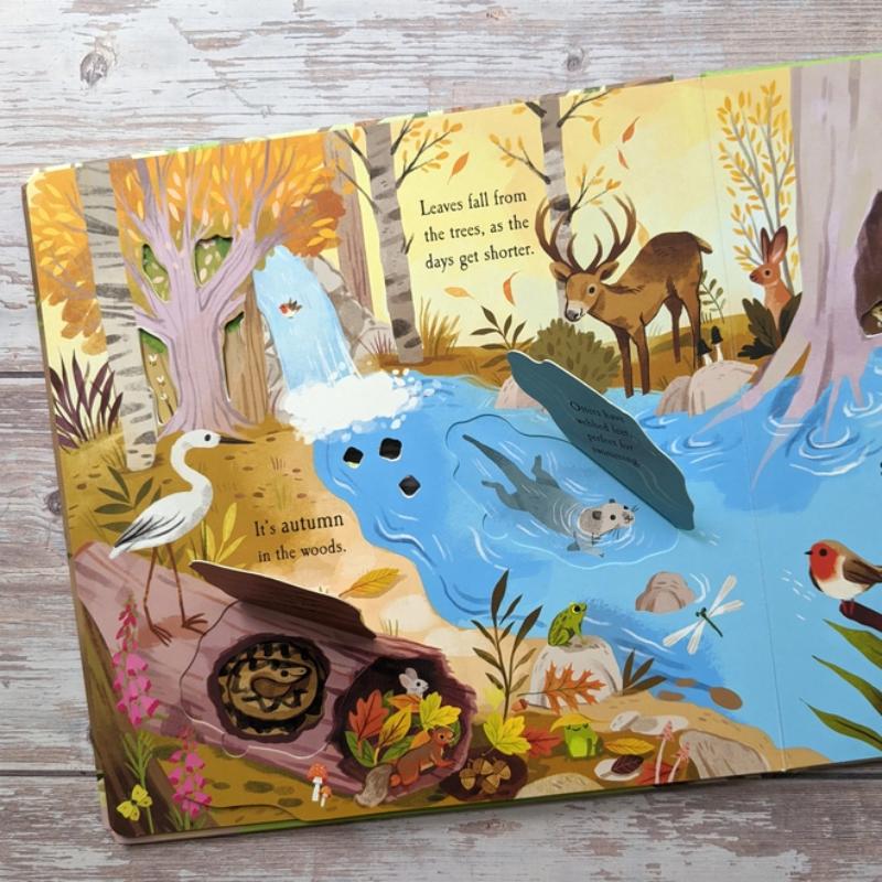 Let's Explore the Woods Boardbook