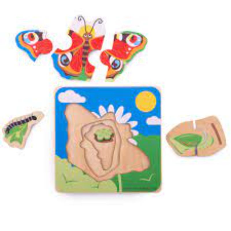 Butterfly Lifecycle Puzzle