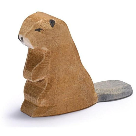 Ostheimer Beaver Sitting