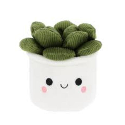 Keel Toys "SUCCULENT" Plant Bobballs (12cm)