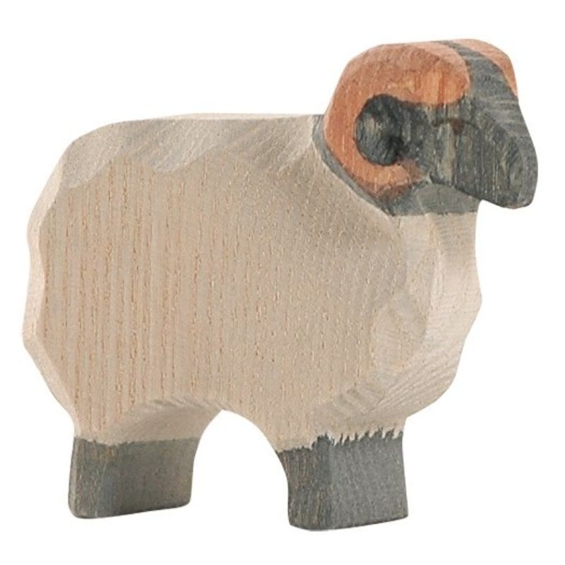 Ostheimer Moorland Ram