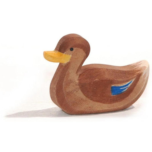 Ostheimer Duck Swimming