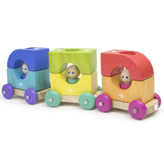 Tegu Rainbow Magnetic Tram